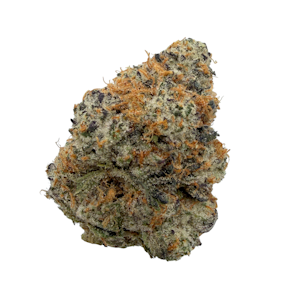 Kaprikorn - Black Amber, Indoor