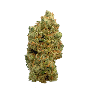 Hometown Cultivation - Durban Nights, Indoor