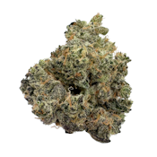 Blueberry Sugar, Indoor