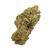 Animal Mint Cake, Indoor