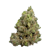 Mega Purp, Indoor