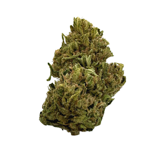 EAST FORK CULTIVARS - Blue Orchid, Hemp, Sungrown