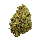 Sasquatch, Sungrown
