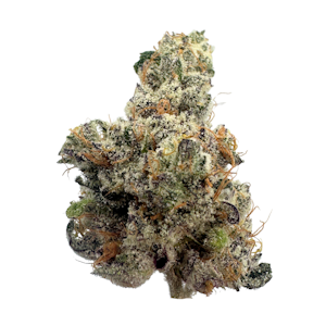 HIGH NOON CULTIVATION - Strawberry Sherbcake, Indoor