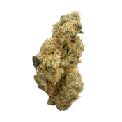 Mule Fuel, Indoor