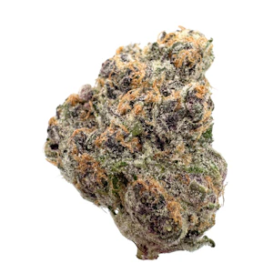 THE HEIGHTS CO - Super Boof, Indoor