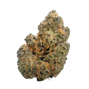 Forbidden Boof, Indoor