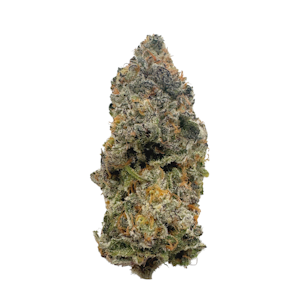 HIGH NOON CULTIVATION - Sausalito, Indoor