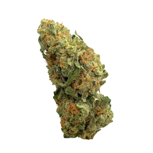 EBB & FLOW - Saffron, Sungrown