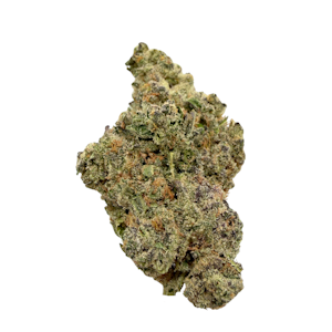 ROSEBUD GROWERS - No Cap, Indoor