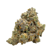Frog Poison, Indoor