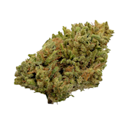 Blueberry Balance, Sungrown