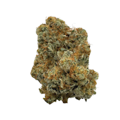 Bruce Banner, Indoor