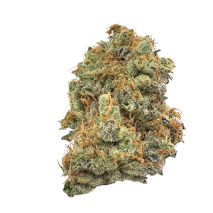 NELSON AND COMPANY ORGANICS - GMO, Indoor