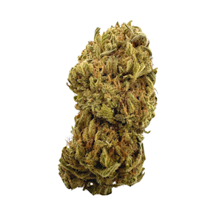 Güd Gardens - Island Zkittlez, Sungrown