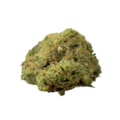 Collins Ave, B-buds, Sungrown, 1oz
