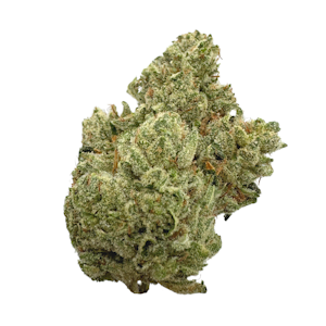 PLATINUM BROTHERZ - Black Triangle Kush, Indoor