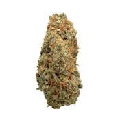 Apple Empanada #16, Indoor