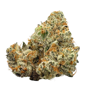 PACIFIC GROVE - Countree Grammer, Indoor