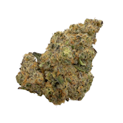 Orange Candy, Indoor