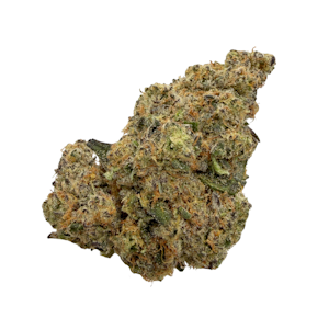 ROSEBUD GROWERS - Orange Candy, Indoor