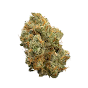 Biscotti Mintz, Indoor