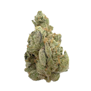 CULTIVATED FARMS - Yuck Mouth, Indoor