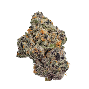 PACIFIC GROVE - Project Gary, Indoor