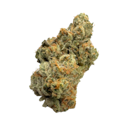 Melted Strawberries, Indoor