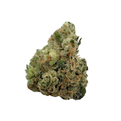Spritzer, B-buds, Indoor