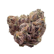 Dark Queen, Indoor