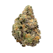 Purple Chrome, Indoor