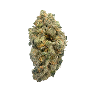 CULTIVATED FARMS - Glitter Bomb, Indoor