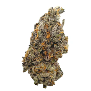 THE HEIGHTS CO - Jealousy Mints, Indoor