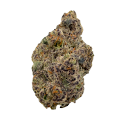 Space Coast Gelato, Indoor