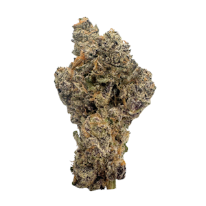 Cultivated Farms - Banana Cream Cake x Jealousy, Indoor