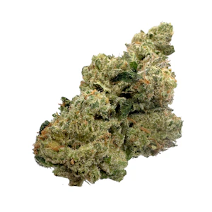 THE HEIGHTS CO - Grease Fire, Indoor