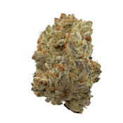 Devil Driver, Indoor