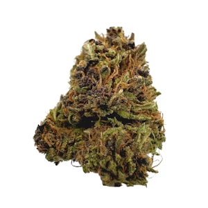 East Fork Cultivars - Wesley's Wish, Sungrown