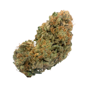 Sweet Cindy, Indoor
