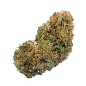 Green Hills - Sweet Cindy, Indoor