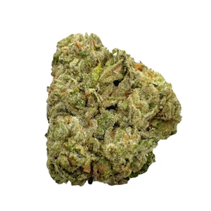 EBB & FLOW - Life Hack, Greenhouse