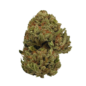 EAST FORK CULTIVARS - Jelly Delight, Sungrown