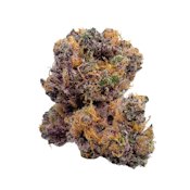 Sour Dragonfruit, Indoor