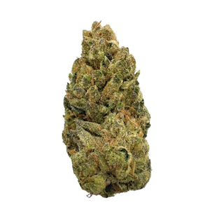 EBB & FLOW - Stargate, Greenhouse