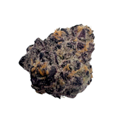 Sugar Factory, B-buds, Indoor