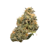 Black Maple, B-buds, Indoor