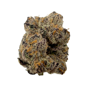 THE HEIGHTS CO - Zootopia, Indoor