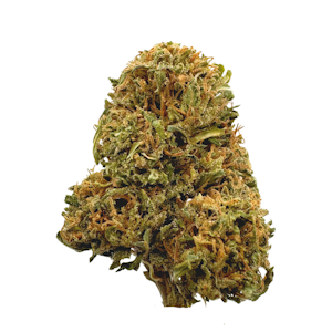 EAST FORK CULTIVARS - Pineapple Jager, Sungrown