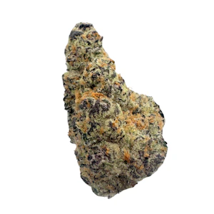 PACIFIC GROVE - Chem Daiquiri, Indoor